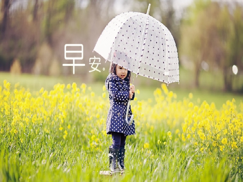 做试管吃dhea成功云烟用试管装湖南试管夹价格